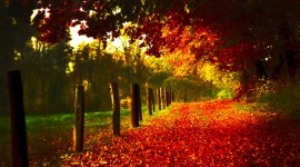 4K Autumn Wallpaper 1080p
