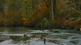 Autumn Fishing Wallpaper Download