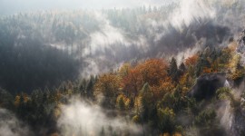 Autumn Fog Desktop Wallpaper For PC