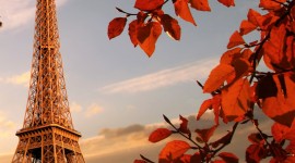 Autumn In Paris Wallpaper For IPhone