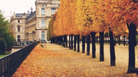 Autumn In Paris Wallpaper For Mobile