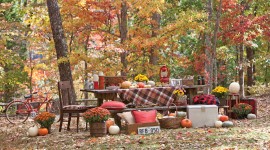 Autumn Leaves Decor Photo Download