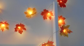 Autumn Leaves Decor Wallpaper For PC
