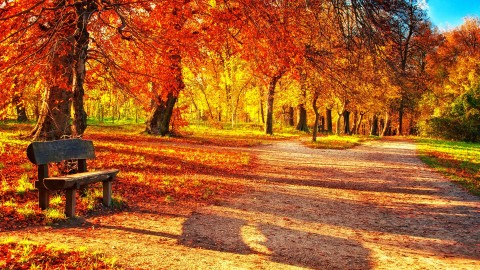 Autumn Park wallpapers high quality