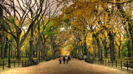 Autumn Park Wallpaper 1080p