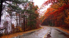 Autumn Rain Photo Download