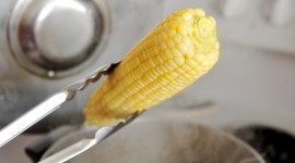 Boiled Corn Desktop Wallpaper For PC
