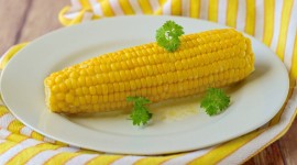 Boiled Corn Photo