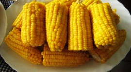 Boiled Corn Photo Download