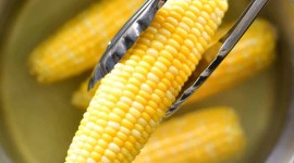 Boiled Corn Wallpaper For Android
