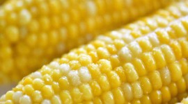 Boiled Corn Wallpaper For IPhone#1