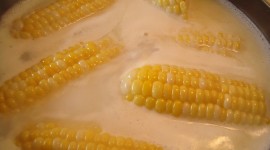 Boiled Corn Wallpaper For PC
