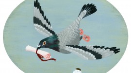 Carrier Pigeon Wallpaper Gallery
