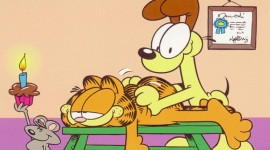 Cat Garfield Aircraft Picture
