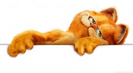 Cat Garfield Desktop Wallpaper