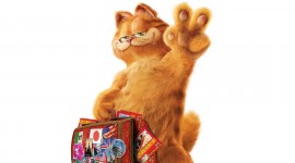 Cat Garfield Desktop Wallpaper For PC