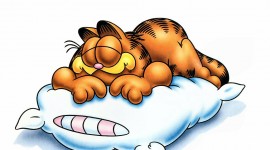 Cat Garfield Image Download