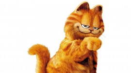 Cat Garfield Photo