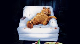 Cat Garfield Photo Download