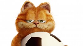 Cat Garfield Wallpaper 1080p