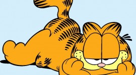 Cat Garfield Wallpaper For Android
