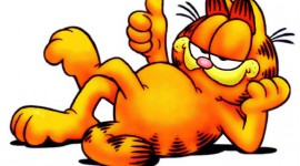 Cat Garfield Wallpaper For Desktop