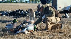 Duck Hunting Wallpaper Download Free