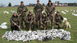 Duck Hunting Wallpaper Free