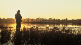 Duck Hunting Wallpaper High Definition