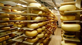 Dutch Cheese Wallpaper Gallery