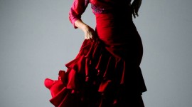 Flamenco Wallpaper