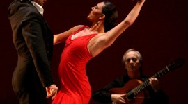 Flamenco Wallpaper Background