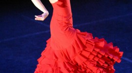 Flamenco Wallpaper For IPhone Download