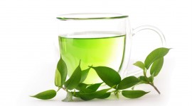 Green Tea Photo