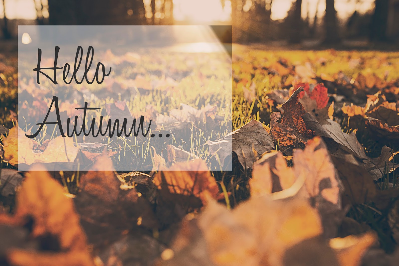 Hello Autumn Wallpapers High Quality | Download Free
