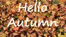 Hello Autumn Desktop Wallpaper HD