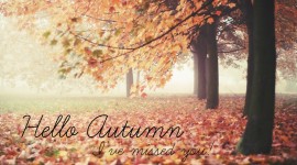 Hello Autumn Photo Download