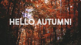 Hello Autumn Wallpaper Full HD#1