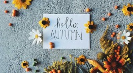 Hello Autumn Wallpaper HQ