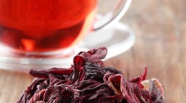Hibiscus Tea Wallpaper For Android