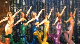 Mermaid Costume Wallpaper Gallery