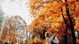 Autumn Wedding Wallpaper For Mobile