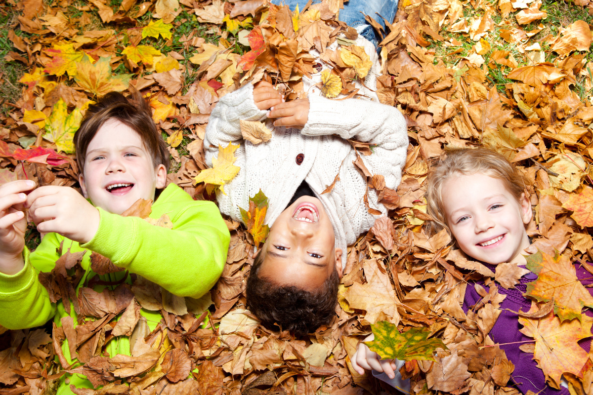 Children Playing In Autumn Leaves Wallpapers High Quality | Download Free