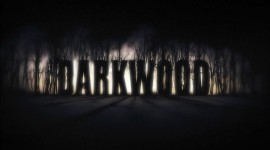 Darkwood Photo Free