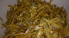 Dried Anchovies Photo Download