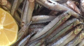 Dried Anchovies Wallpaper For Desktop