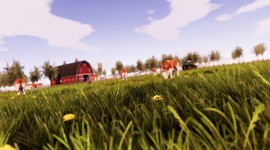 Real Farm Wallpaper For PC