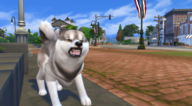 Sims 4 Cats & Dogs Aircraft Picture