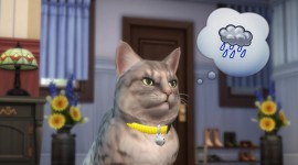 Sims 4 Cats & Dogs Image Download