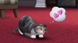 Sims 4 Cats & Dogs Picture Download